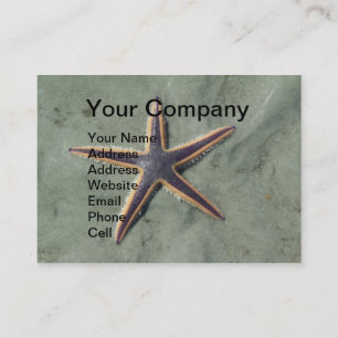 Starfish Purple sea star on beach Business Card