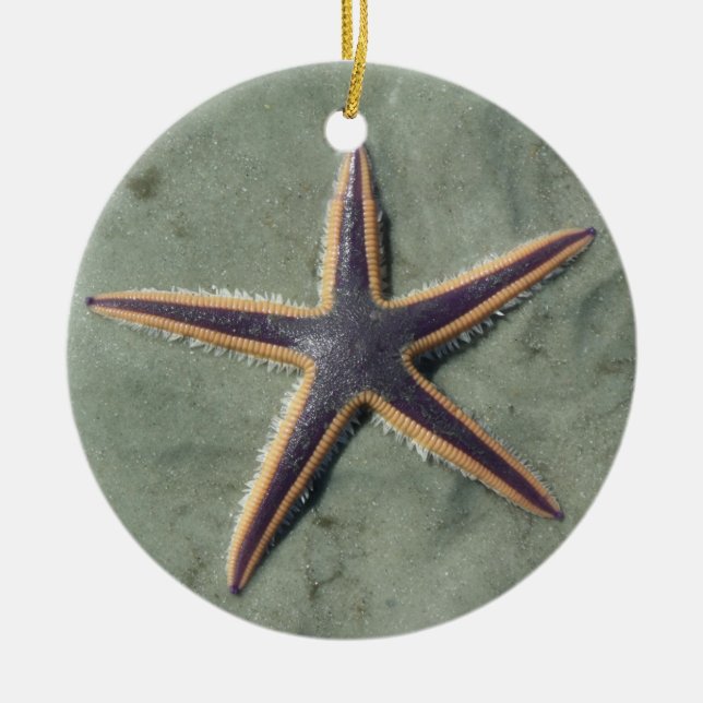 Starfish Purple sea star on beach Ceramic Ornament (Front)