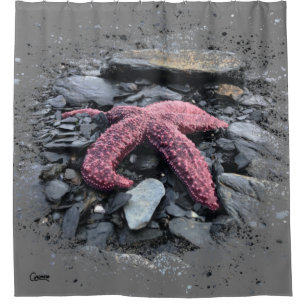 Starfish - Rideau de douche