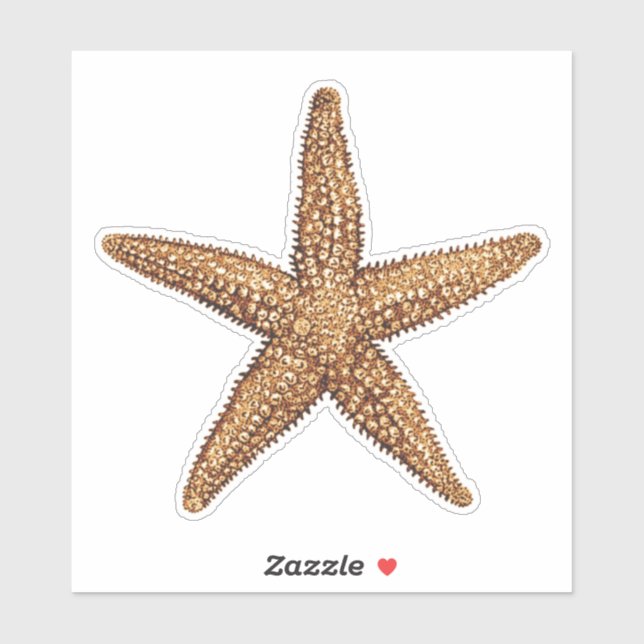 Starfish - Sea Star (Sheet)