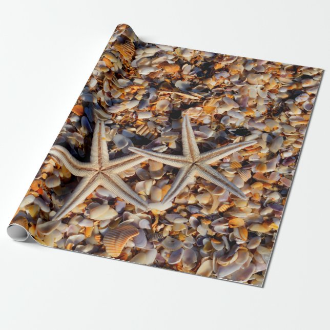 Starfish Seashells Decoupage Background Wrapping Paper (Unrolled)