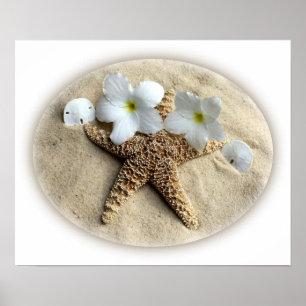 Starfish Shells Plumeria on Sand Poster
