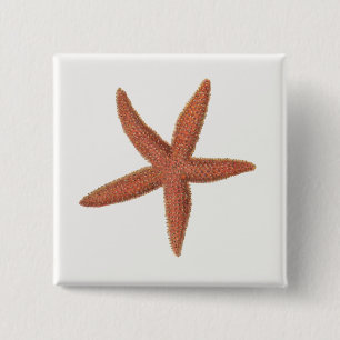 Starfish - Sherman Denton Fish Lithograph 2 Inch Square Button