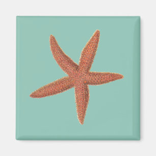 Starfish - Sherman Denton Fish Lithograph Magnet