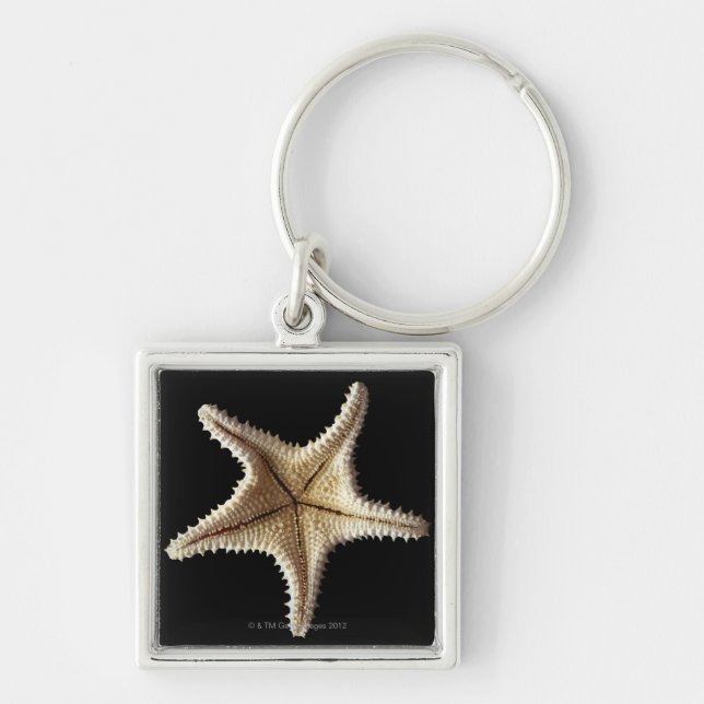 Starfish skeleton, close-up 2 keychain (Front)