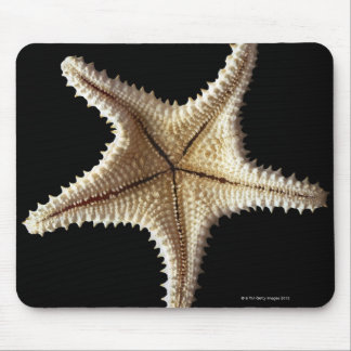 Starfish skeleton, close-up 2 mouse pad