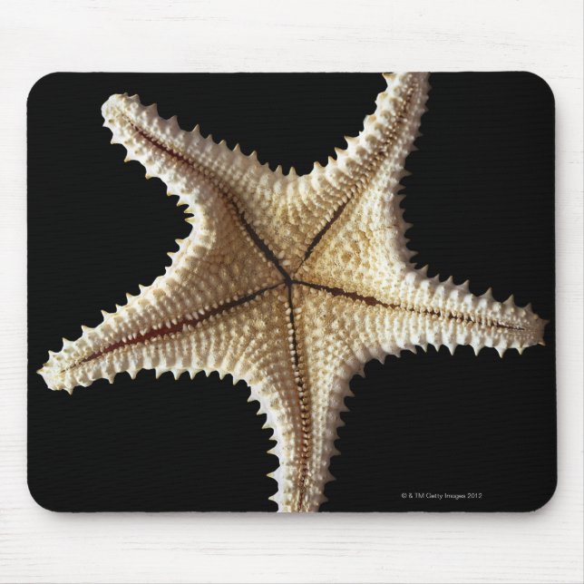 Starfish skeleton, close-up 2 mouse pad (Front)