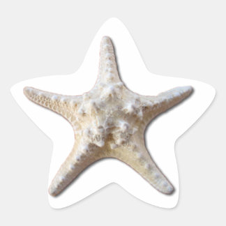 Starfish STicker - blanc