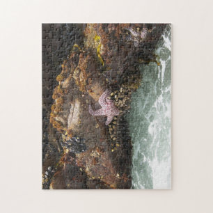 Starfish Tidepool Jigsaw Puzzle