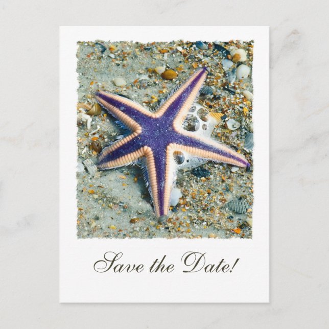 Starfish Wedding Enregistrer la date Carte postale (Devant)