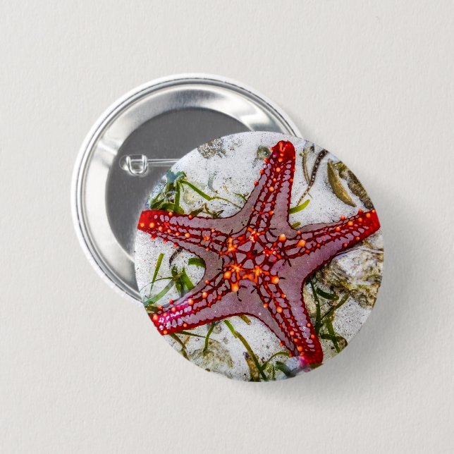 Starfish, Zanzibar, Tanzania 2 Inch Round Button (Front & Back)