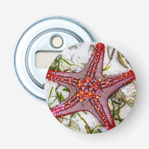 Starfish, Zanzibar, Tanzania Bottle Opener