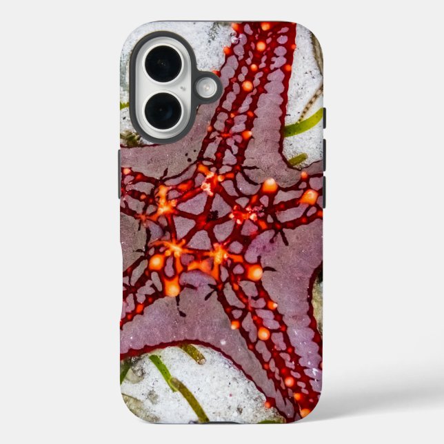 Starfish, Zanzibar, Tanzania Case-Mate iPhone Case (Back)