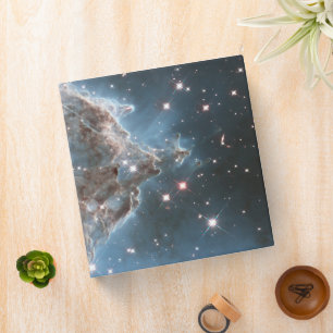 Starforming Region Ngc 2174, Monkey Head Nebula. Binder