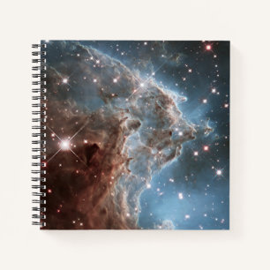 Starforming Region Ngc 2174, Monkey Head Nebula. Notebook
