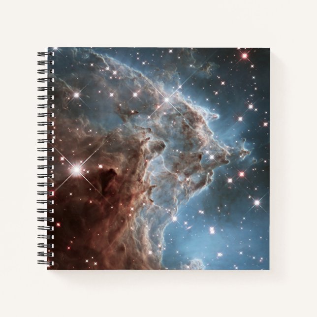 Starforming Region Ngc 2174, Monkey Head Nebula. Notebook (Front)