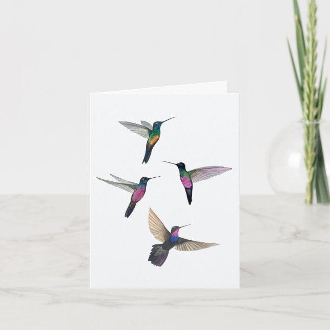 Starfrontlet Hummingbirds Card (Front)