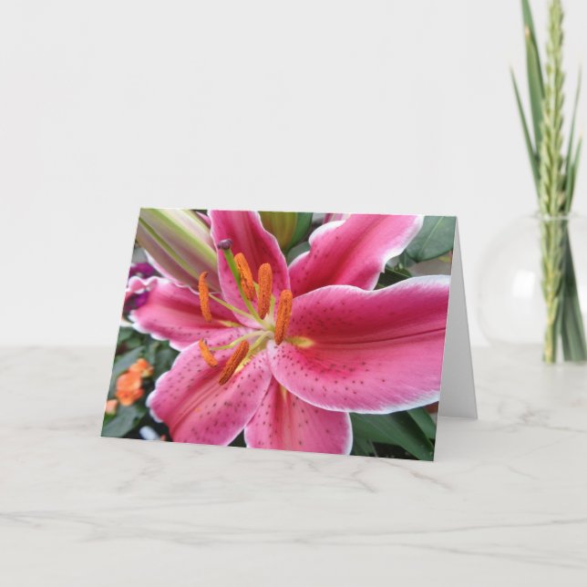Stargazer Card (Front)