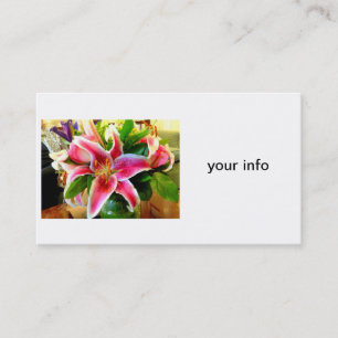 stargazer carte de visite