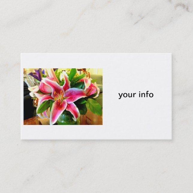 stargazer carte de visite (Devant)
