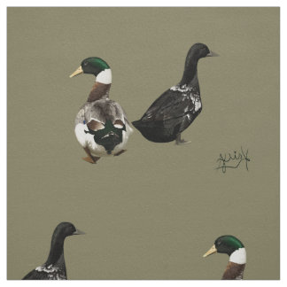 Stargazer draet son tissu de canard Lady