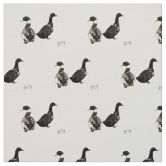 Stargazer Drake et son tissu Lady Duck - blanc