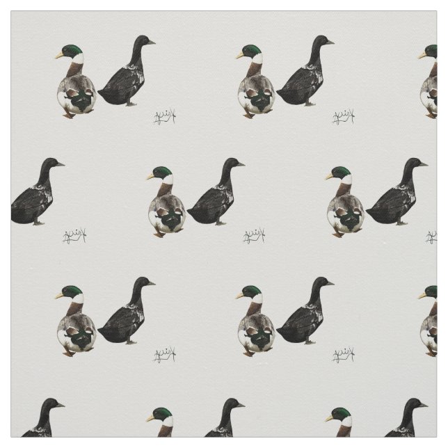 Stargazer Drake et son tissu Lady Duck - blanc (Échantillon)