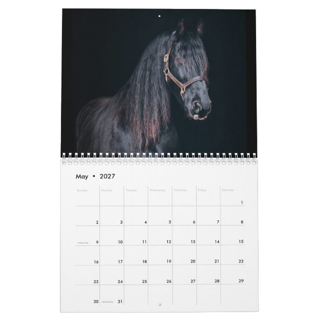 Stargazer Farm Horses Calendar (May 2027)