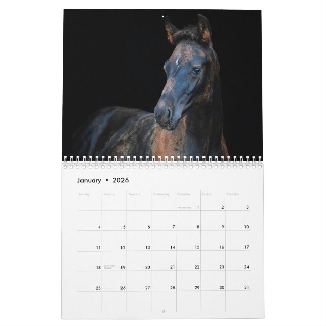 Stargazer Farm Horses Calendar (Jan 2026)