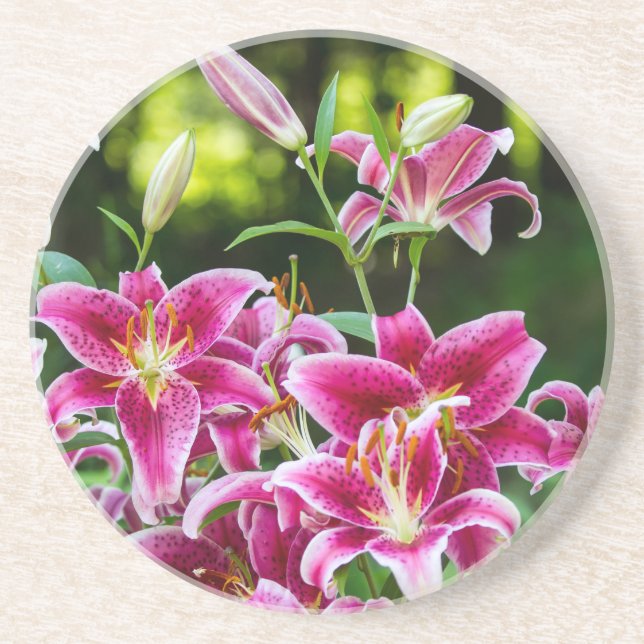 Stargazer Lilies Coaster (Front)