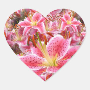 "Stargazer" Lilies Heart Sticker
