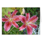 Stargazer Lilies Jardin Floral