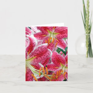 Stargazer Lilies Note Cards