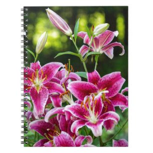 Stargazer Lilies Notebook