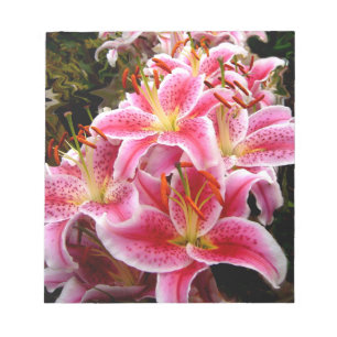 "Stargazer" Lilies Notepad