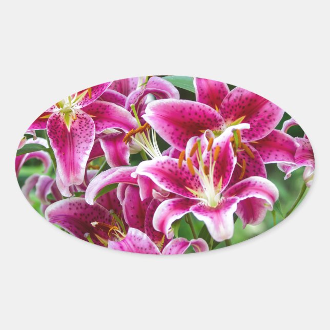 Stargazer Lilies Oval Sticker (Front)