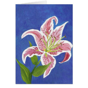 Stargazer Lily Blank card