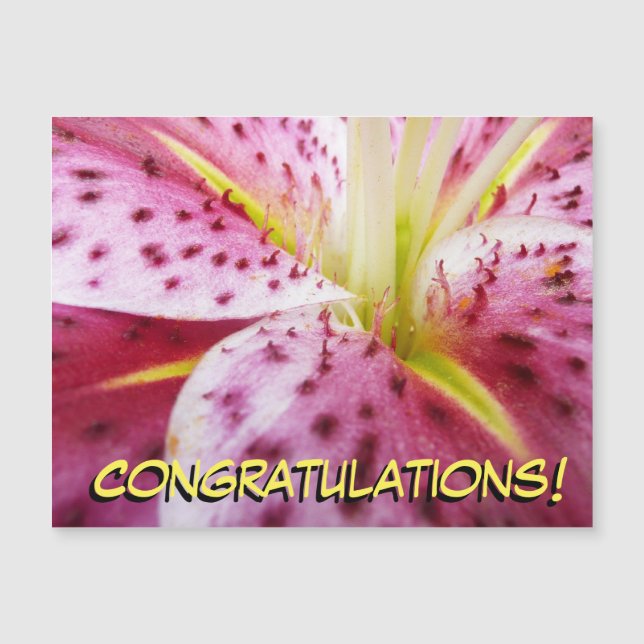 Stargazer Lily Bright Magenta Floral (Front)