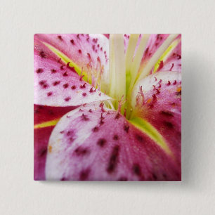Stargazer Lily Bright Magenta Floral 2 Inch Square Button