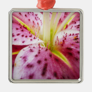 Stargazer Lily Bright Magenta Floral Metal Ornament