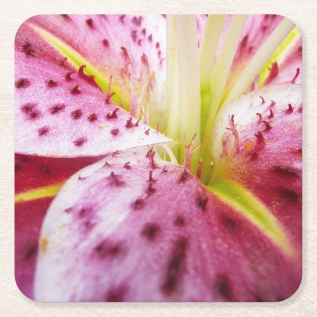 Stargazer Lily Bright Magenta Floral Square Paper Coaster (Front)