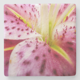 Stargazer Lily Bright Magenta Floral Stone Coaster