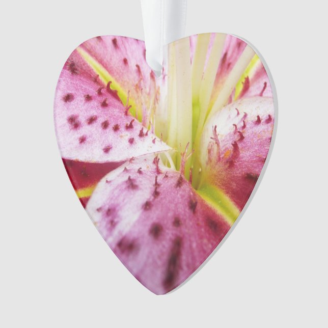 Stargazer Lily brillant Magenta Floral (devant)