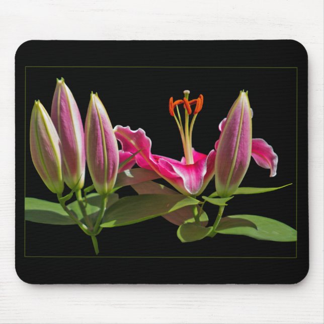 Stargazer Lily Buds and Bloom Mouse Pad (Front)