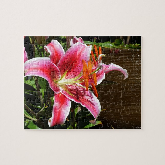 Stargazer Lily Photograph Jigsaw Puzzle (Horizontal)