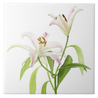 Stargazer Lily Tile