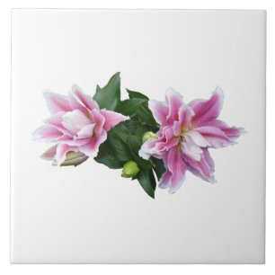 Stargazer oriental lilies tile