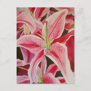 Stargazer Pink Lily watercolor original art flower Postcard