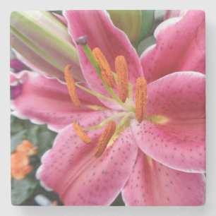 Stargazer Stone Coaster