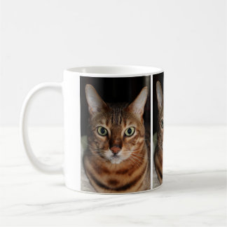 Staring Bengal Cat Photo Mug, Add Your Own Meme Coffee Mug